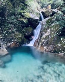 箬寮原始林11
