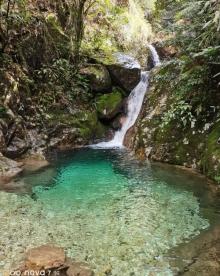 箬寮原始林2