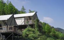 境见茶野里野奢帐篷露营地9