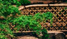 境见茶野里野奢帐篷露营地7