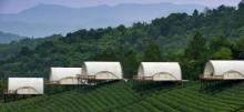 境见茶野里野奢帐篷露营地30