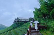 境见茶野里野奢帐篷露营地24