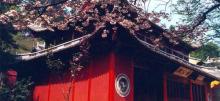 方岩风景名胜区25