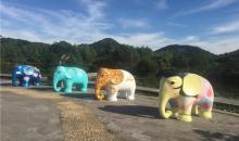 白马涧龙池景区11