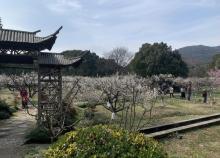 白马涧龙池景区19
