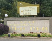 华西村13