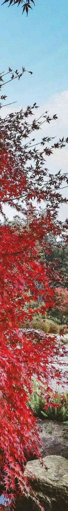 上渚山奇幻谷9