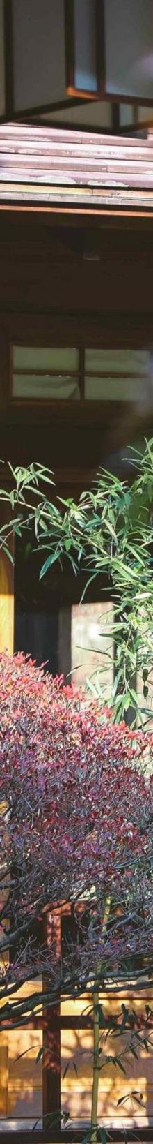 上渚山奇幻谷23