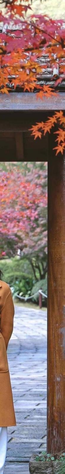 上渚山奇幻谷1