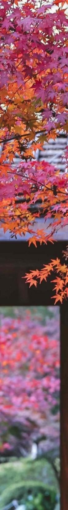 上渚山奇幻谷2