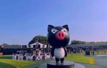 熊猫猪猪两头乌国际牧场8