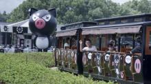 熊猫猪猪两头乌国际牧场12