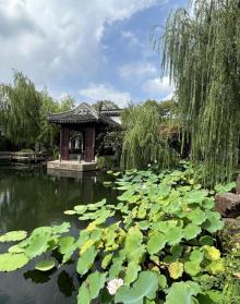 可园12