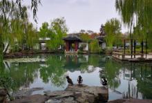 可园26