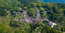 陈家铺村1