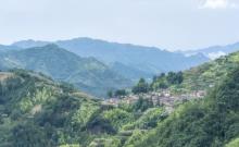 陈家铺村2