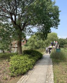 苏州太湖国家湿地公园26