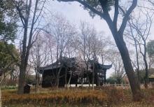 枫桥景区6