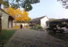 枫桥景区18