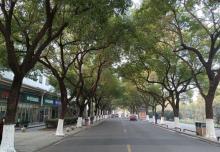 枫桥景区30