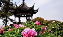 尚湖风景区26