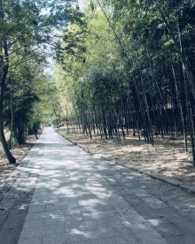永嘉书院28