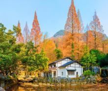 双龙风景旅游区26