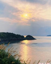 大陈岛23