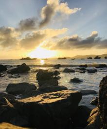 大陈岛14