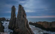 大陈岛8