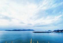 大陈岛25