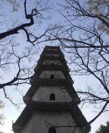 江心屿28