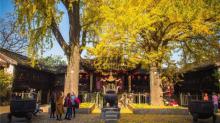 惠山古镇11
