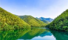 南山竹海1