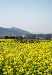 仙居风景名胜区8