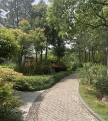 青林湾公园3