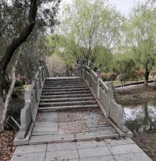 大千公园4
