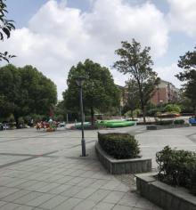 大千公园1