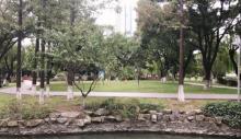 茗园公园4