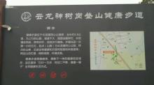 神树岗古道2