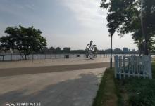 双古渡公园7