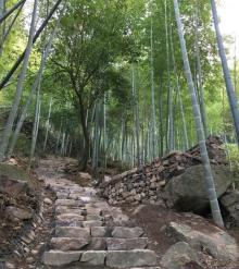 寻芝岭古道1