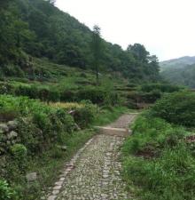 寻芝岭古道2