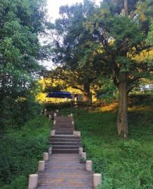 茅镬古树公园5