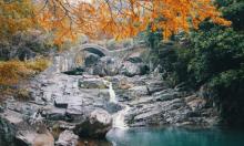 宁波余姚老柿林山居度假村2