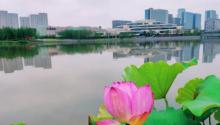 宁波市市民广场5