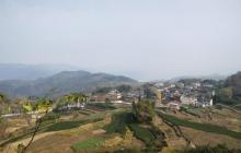 南山章村5