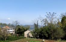南山章村2