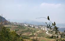 南山章村1