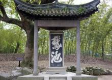 兰亭5